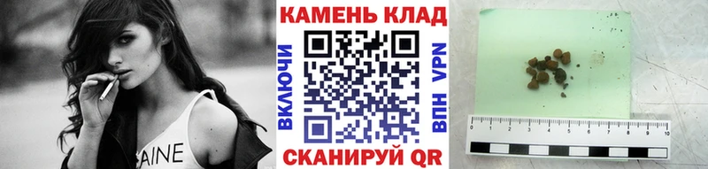 как найти   Анжеро-Судженск  ГАШИШ индика сатива 