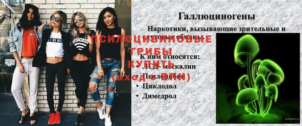 PSILOCYBIN Алзамай