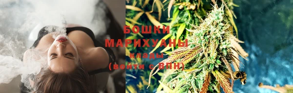 PSILOCYBIN Алзамай