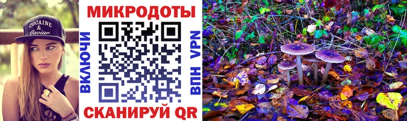 что такое   Анжеро-Судженск  Псилоцибиновые грибы ЛСД 