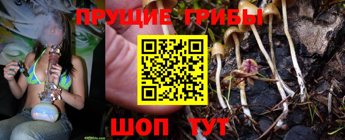 Псилоцибиновые грибы GOLDEN TEACHER Анжеро-Судженск