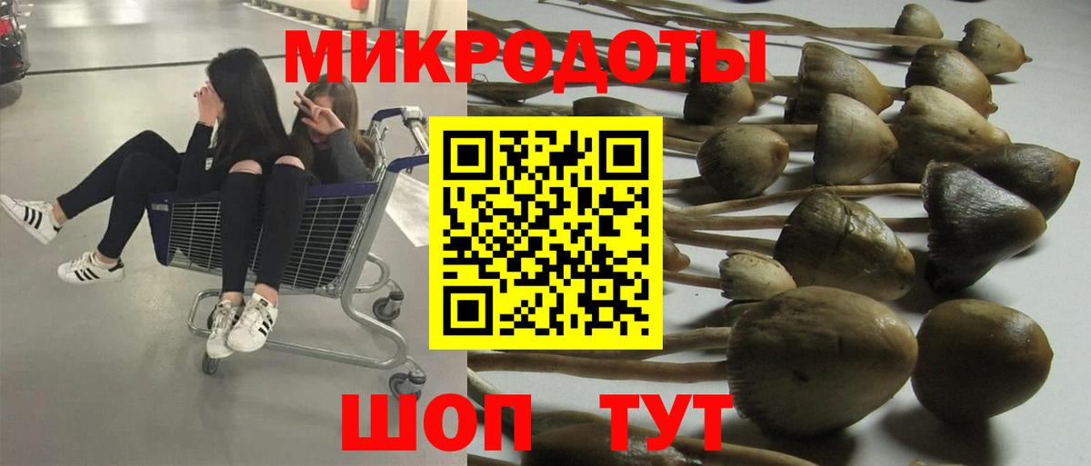 Галлюциногенные грибы GOLDEN TEACHER  Галлюциногенные грибы мицелий  Анжеро-Судженск  Вход с VPN 